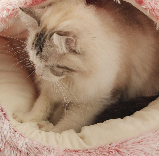 Pet Cave Bed